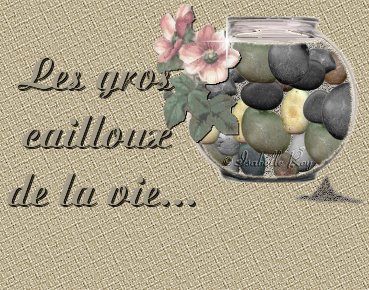 Les gros cailloux  de la vie. . . .